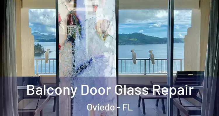  Balcony Door Glass Repair Oviedo - FL