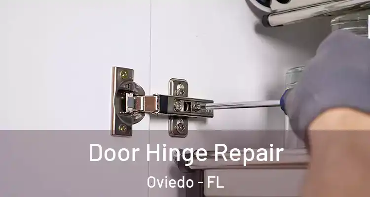  Door Hinge Repair Oviedo - FL
