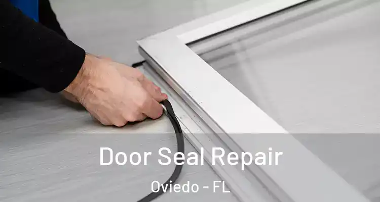  Door Seal Repair Oviedo - FL
