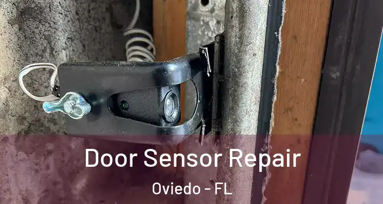  Door Sensor Repair Oviedo - FL
