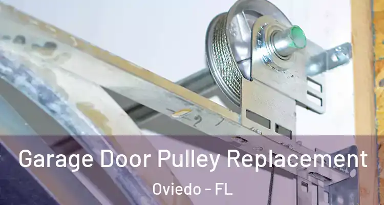  Garage Door Pulley Replacement Oviedo - FL