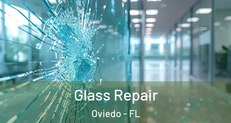  Glass Repair Oviedo - FL