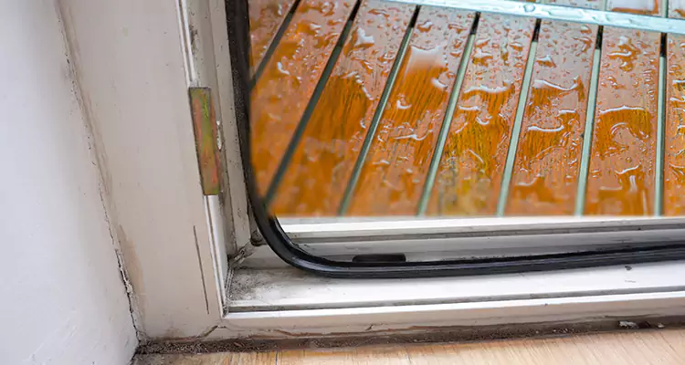 Water Leaking Wooden Patio Doors Repair in Oviedo, FL