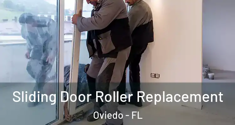  Sliding Door Roller Replacement Oviedo - FL