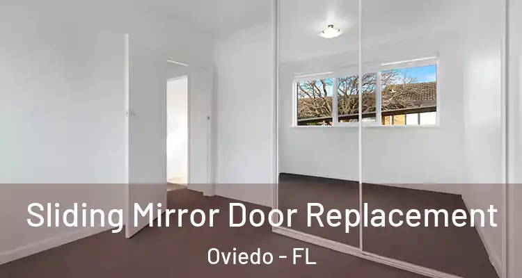  Sliding Mirror Door Replacement Oviedo - FL