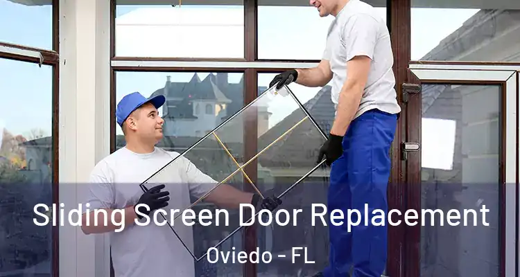  Sliding Screen Door Replacement Oviedo - FL
