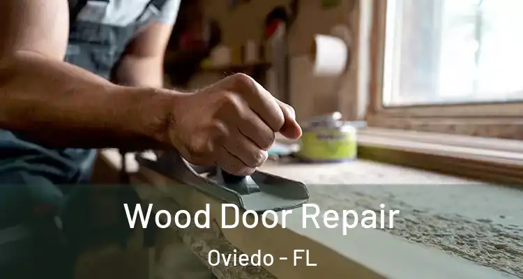  Wood Door Repair Oviedo - FL